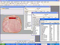 Graphic images are easily imported using the Admin Module Quality Inspection - Inspecting Food
