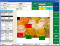 A typical Inspect Data Collect screen.