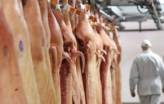 ATS Global Meat Processing Automation Solution Banner