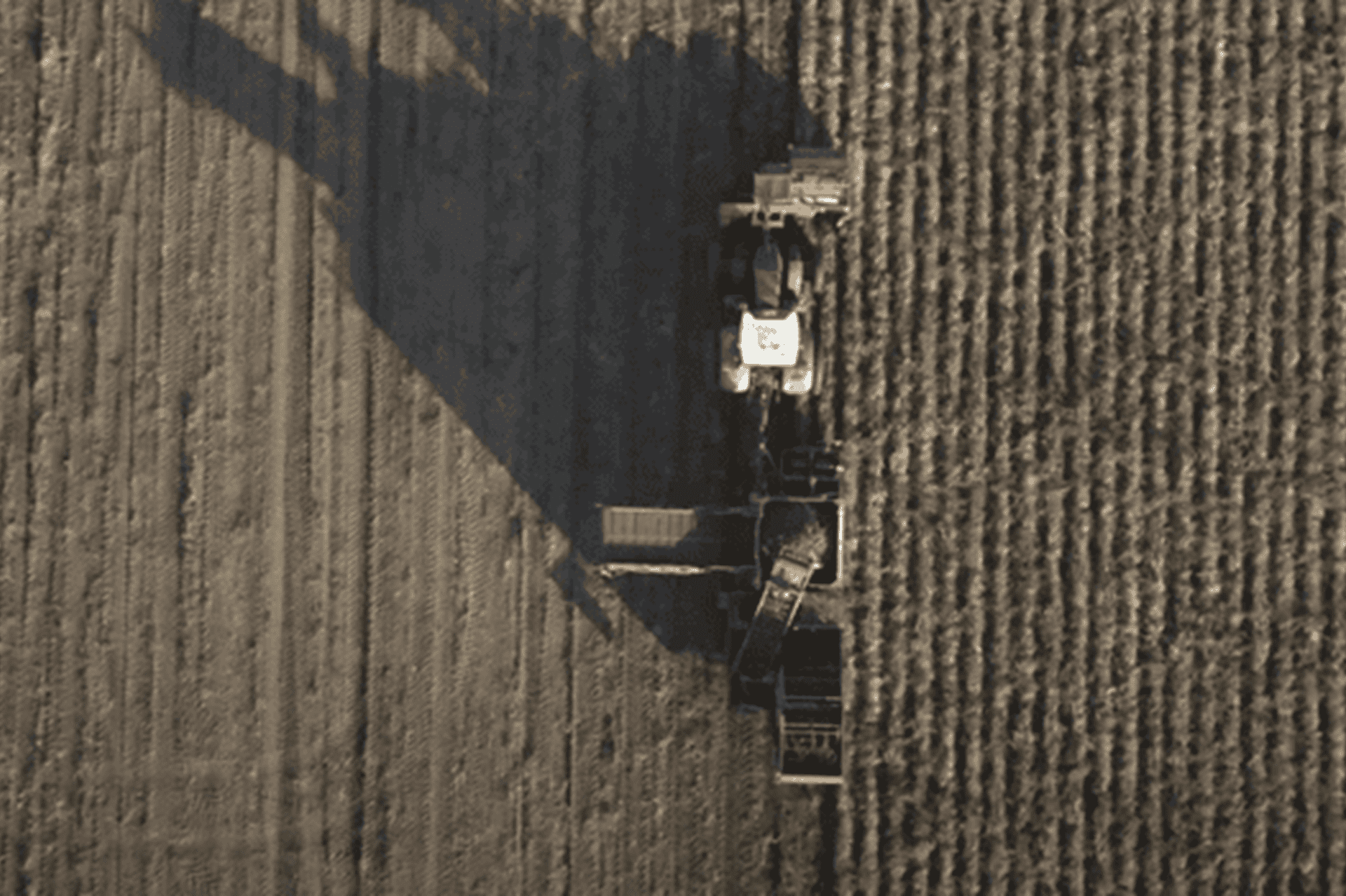 ATS-Global-Customer-Story-Avebe-web-banner ATS-Global-Customer-Story-Avebe-web-banner