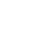 Webinar
